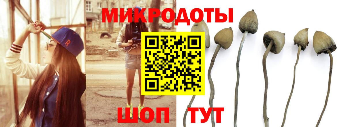 Галлюциногенные грибы MAGIC MUSHROOMS  Вход с VPN  Бутурлиновка 